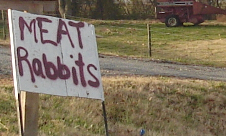Meat rabbits